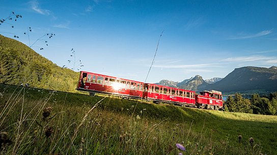 Die Schafbergbahn fährt den Schafberg hinauf
