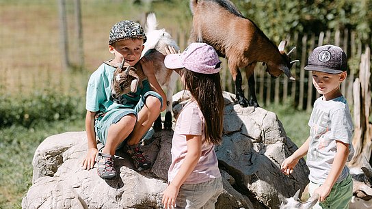 Kinder streicheln Ziegen im Wildpark Cumberland