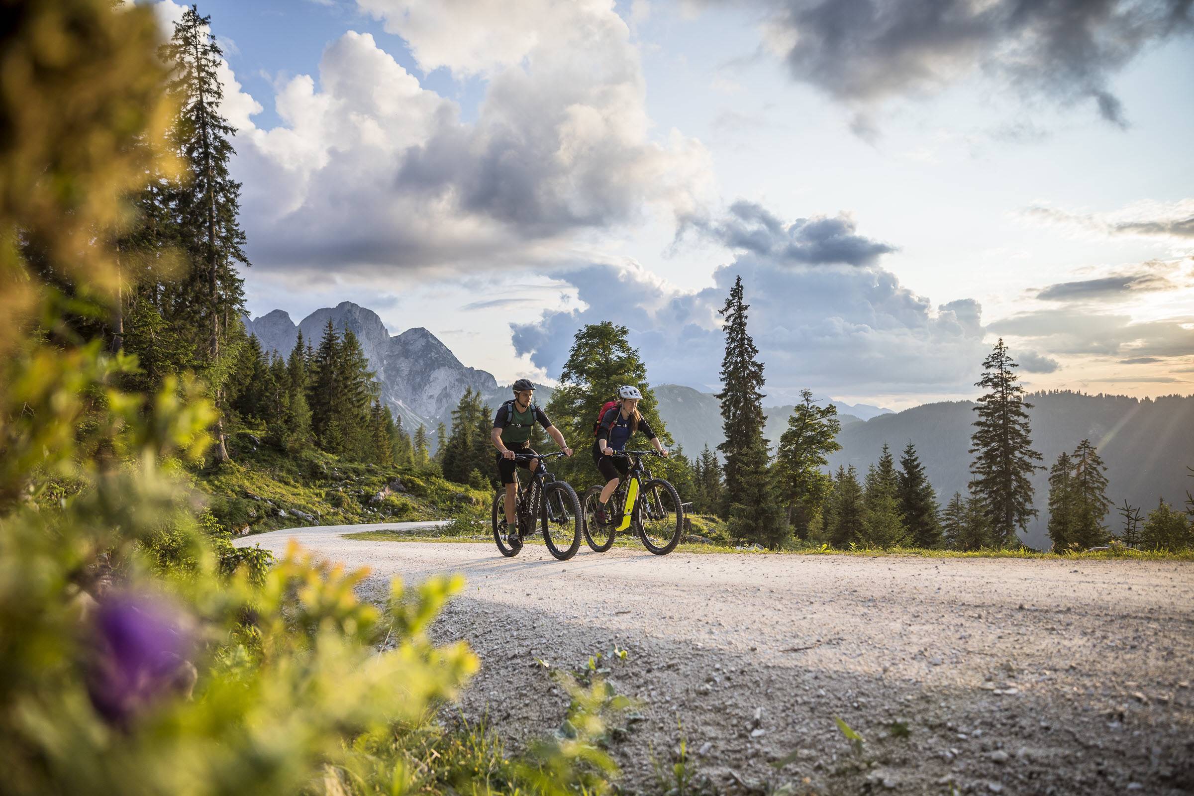 E-Mountainbike-Tour am Gosaukamm