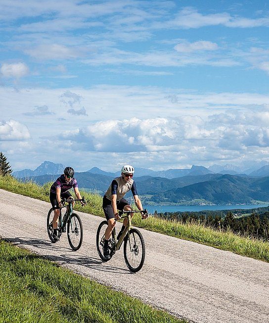 Rennradfahrer auf aussichtsreicher Strecke am Attersee