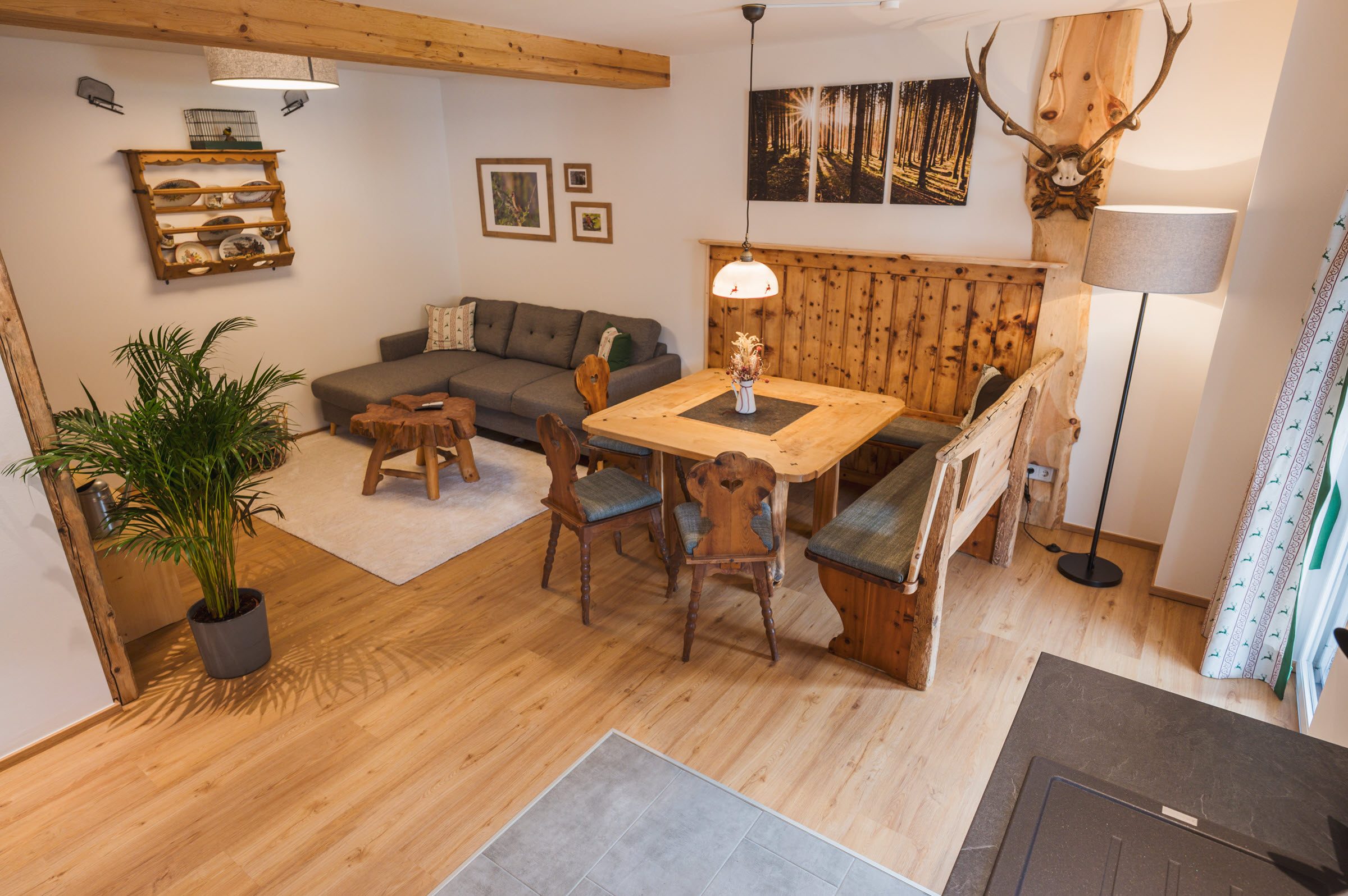 Wohn-Essbereich von oben: Sofa, Esstisch und Geweih an der Wand