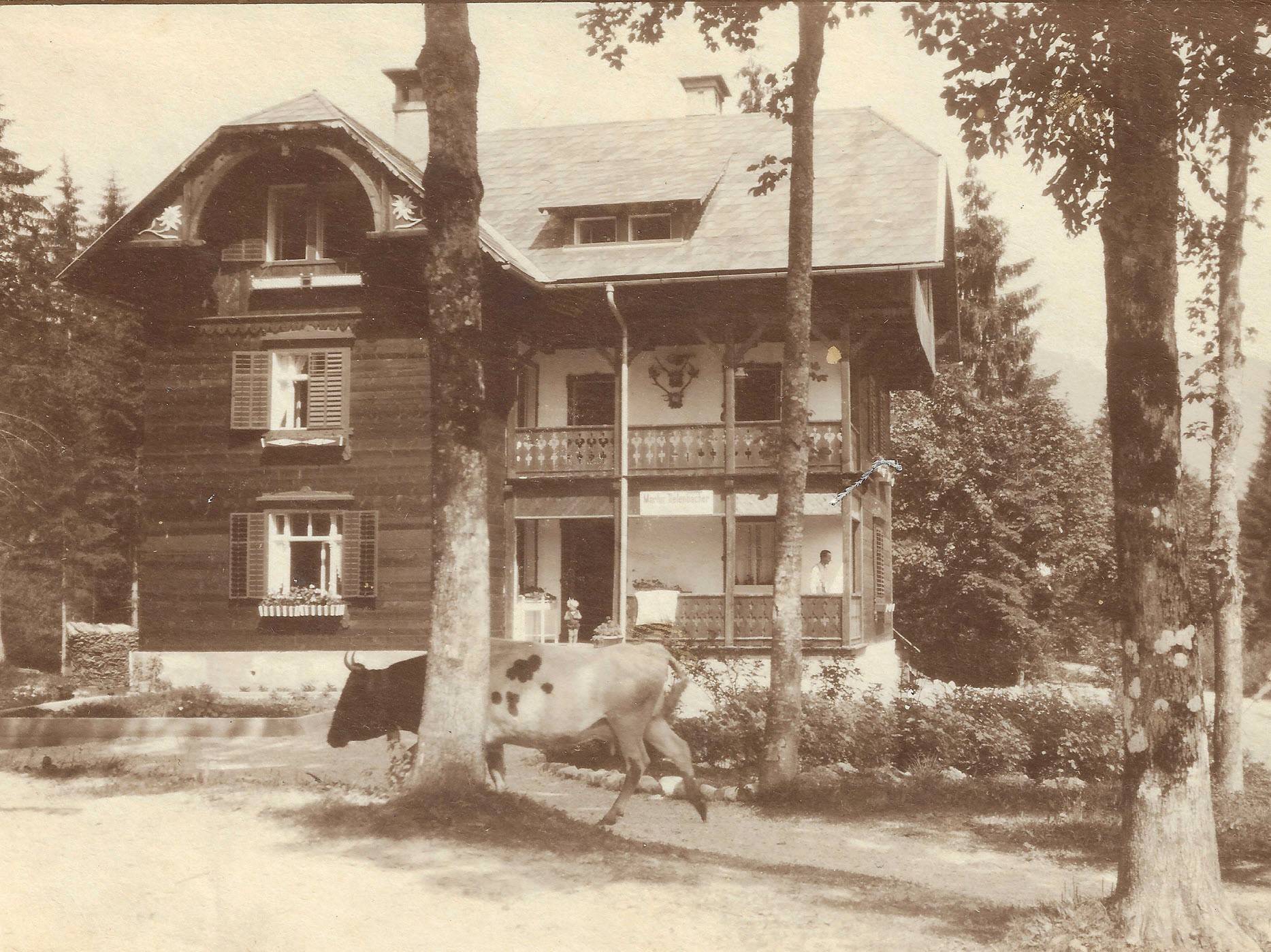 Haus Edelweiss Jahr 1927